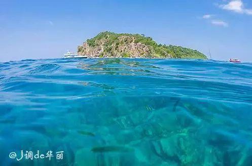 苍绿色衬衣搭配白色紧身裤,轻松穿出文艺淑女范,这样的穿着你喜欢吗?-知识的海洋,200次涟漪,等你来掀起