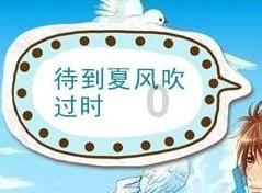 创作猫
